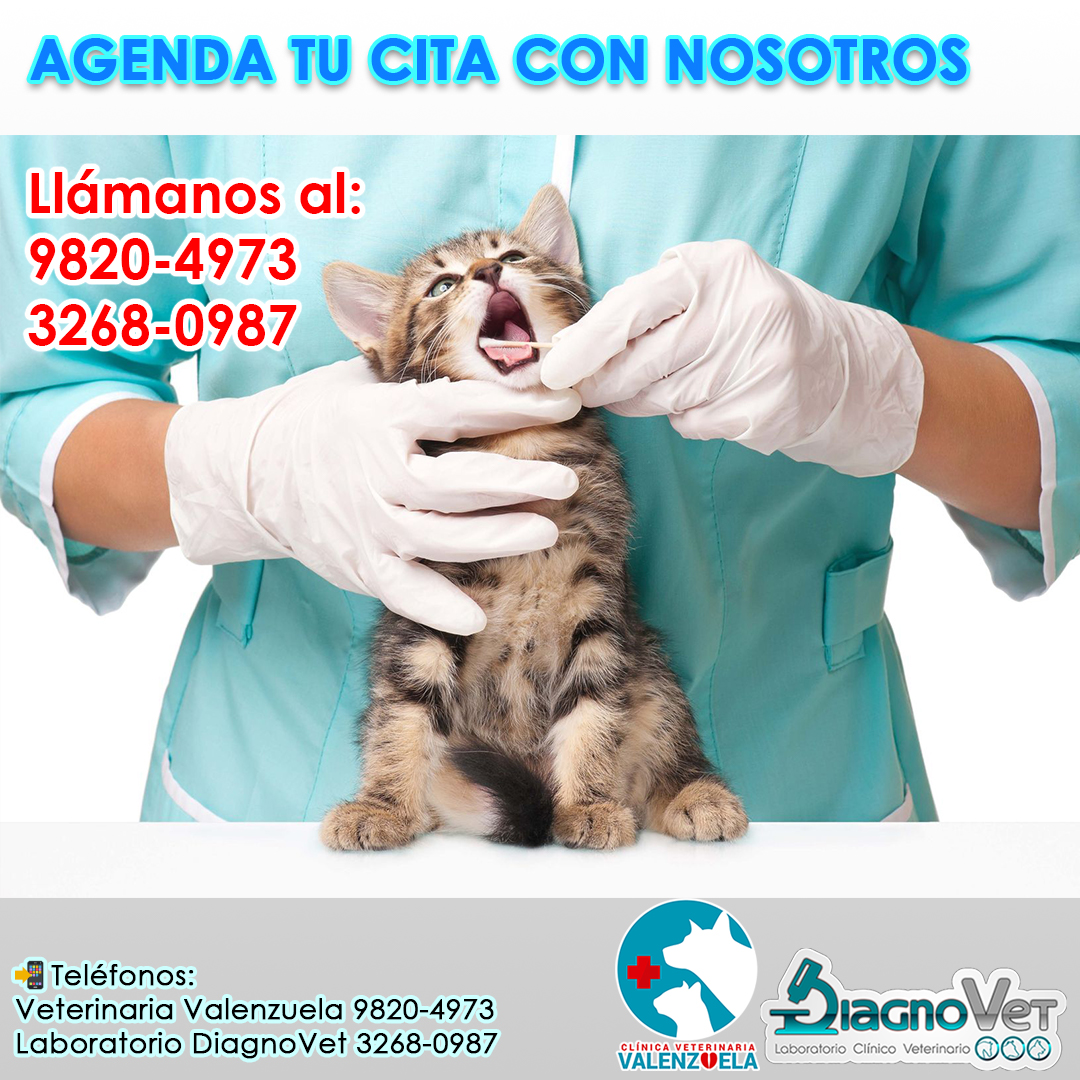 Diseño para redes sociales