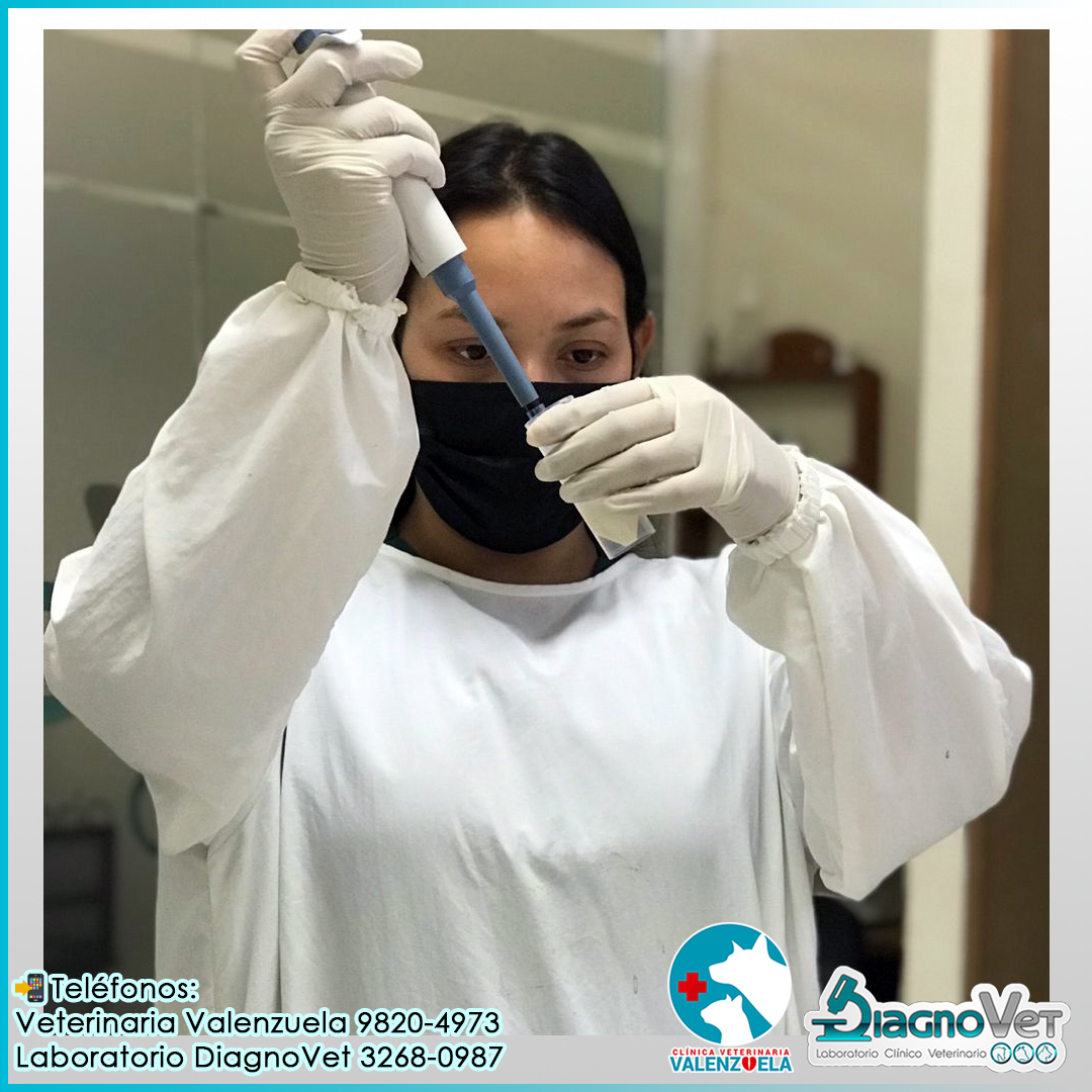 Diseño para redes sociales