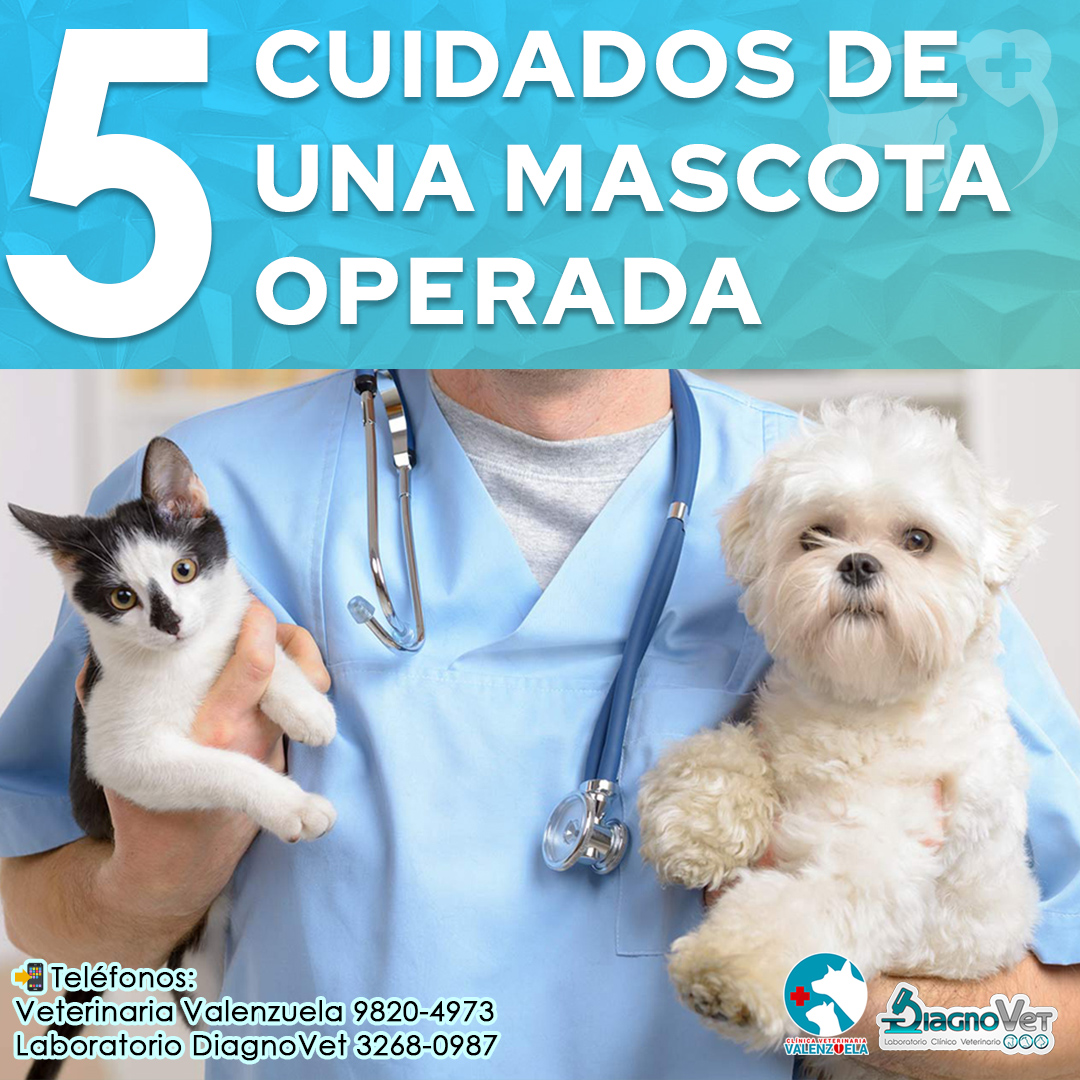 Diseño para redes sociales