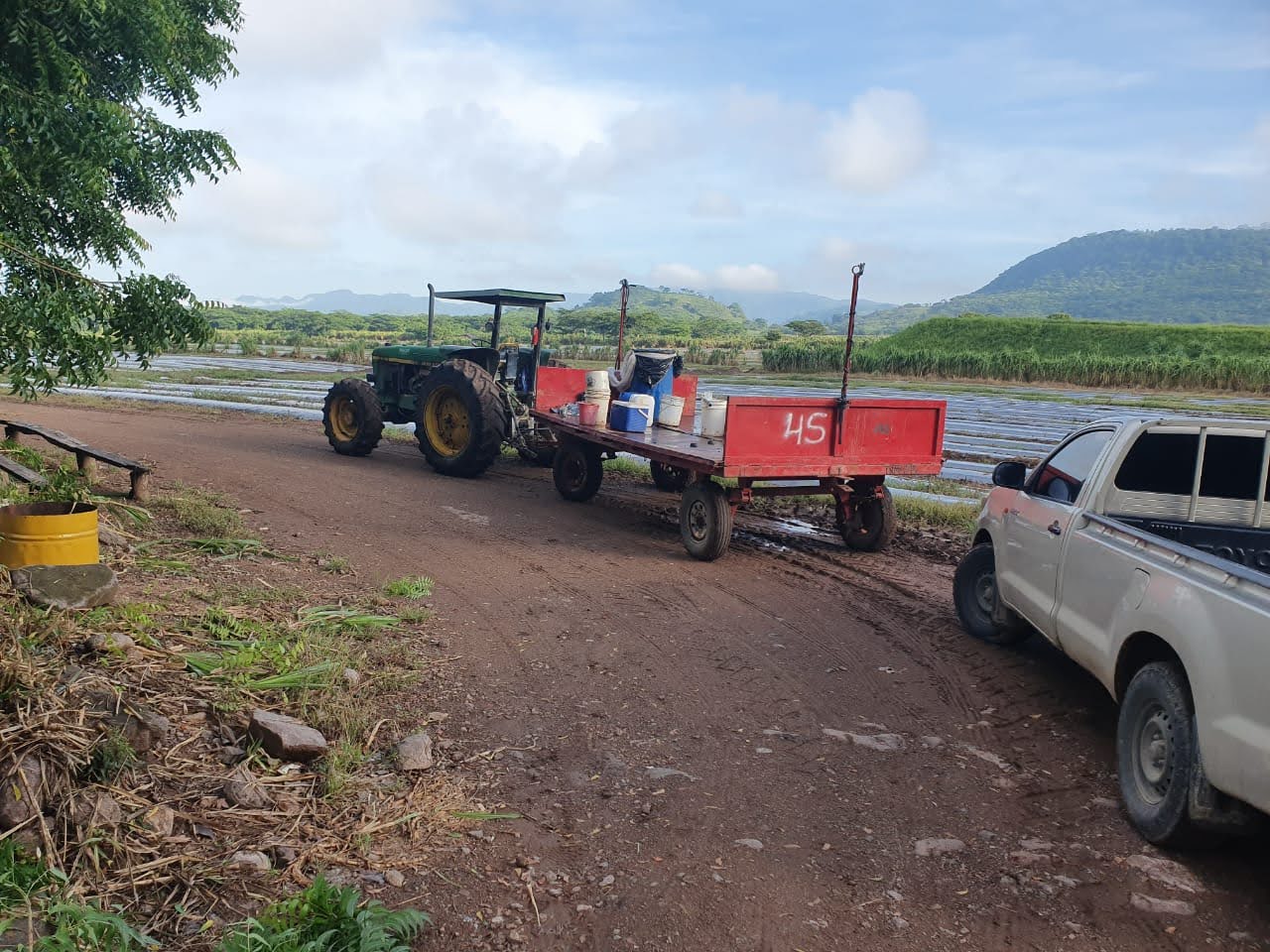 Trazado de linea base para la implementacion de drones en cultivo de melon y sandia