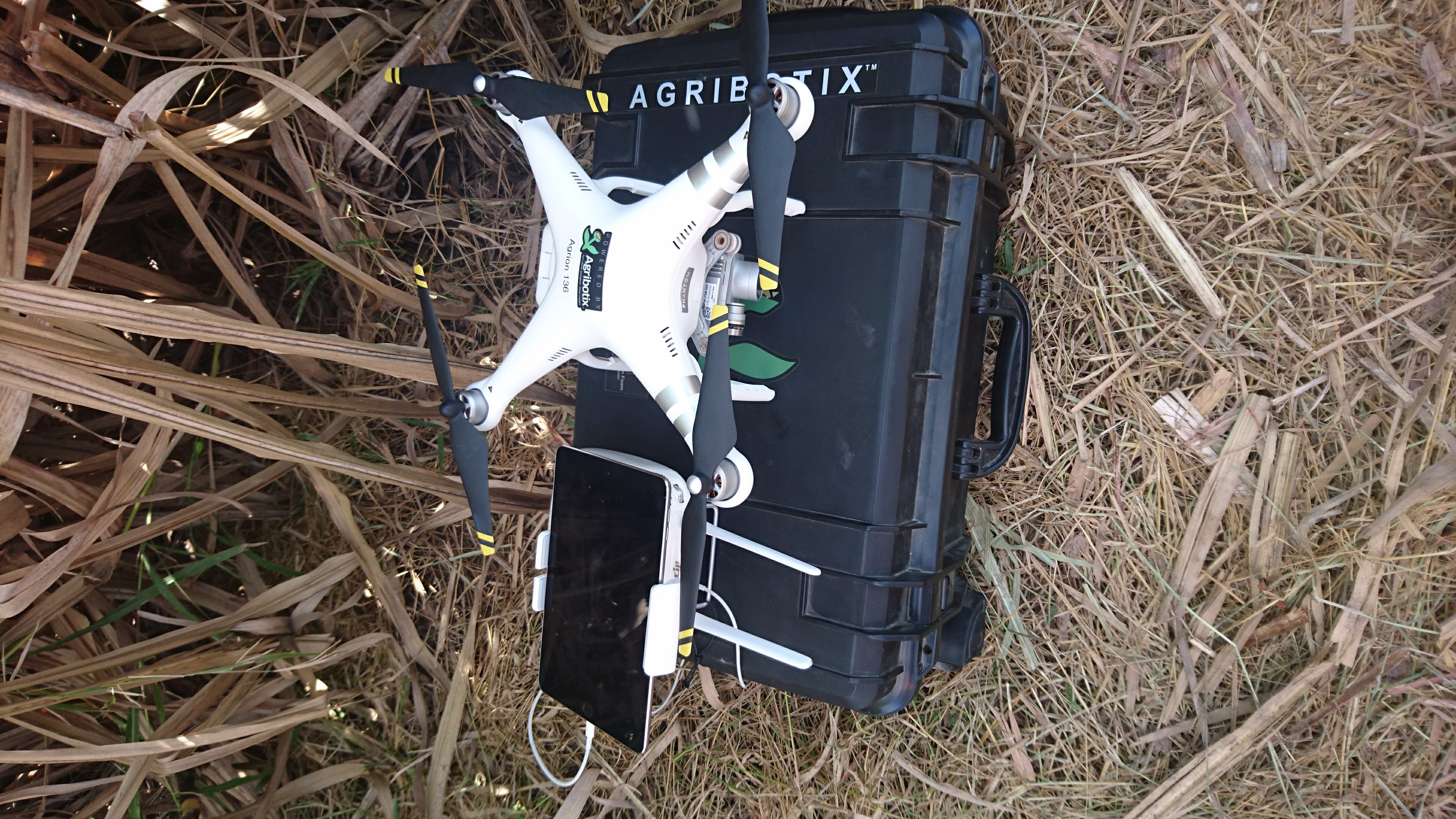 mapeo para medicion de indices de vegetacion